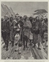 Die Besetzung Zyperns, Gefangene aus dem Gefängnis in Nikosia werden von britischen und türkischen Truppen nach Kyrenia eskortiert